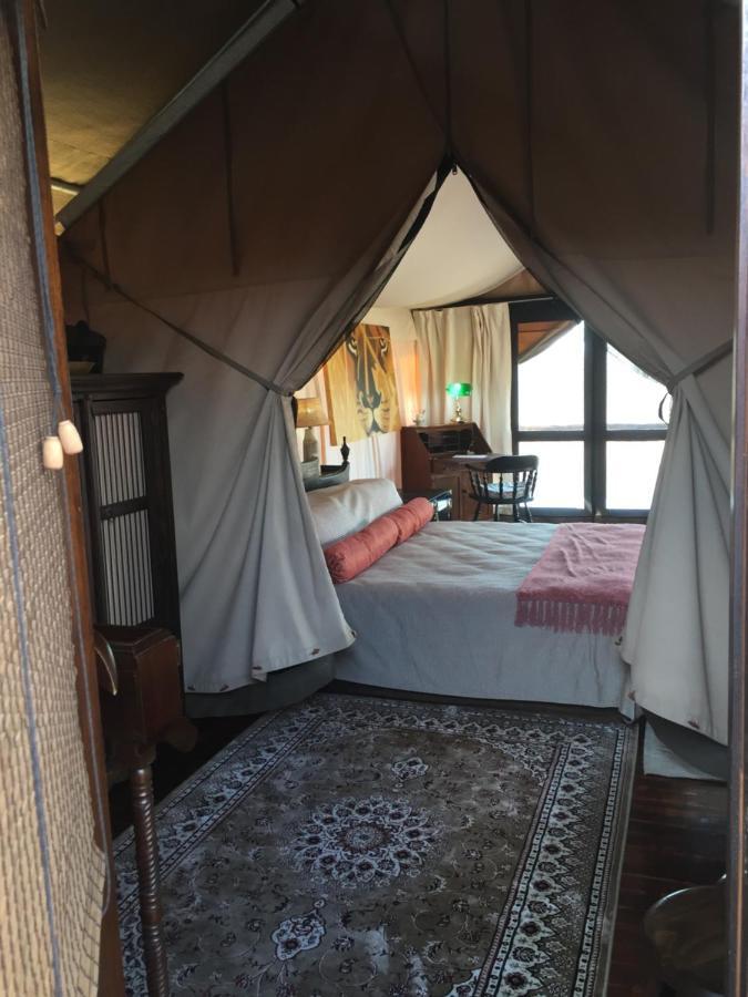Out In Africa Wildlife Lodge Hammanskraal Dış mekan fotoğraf