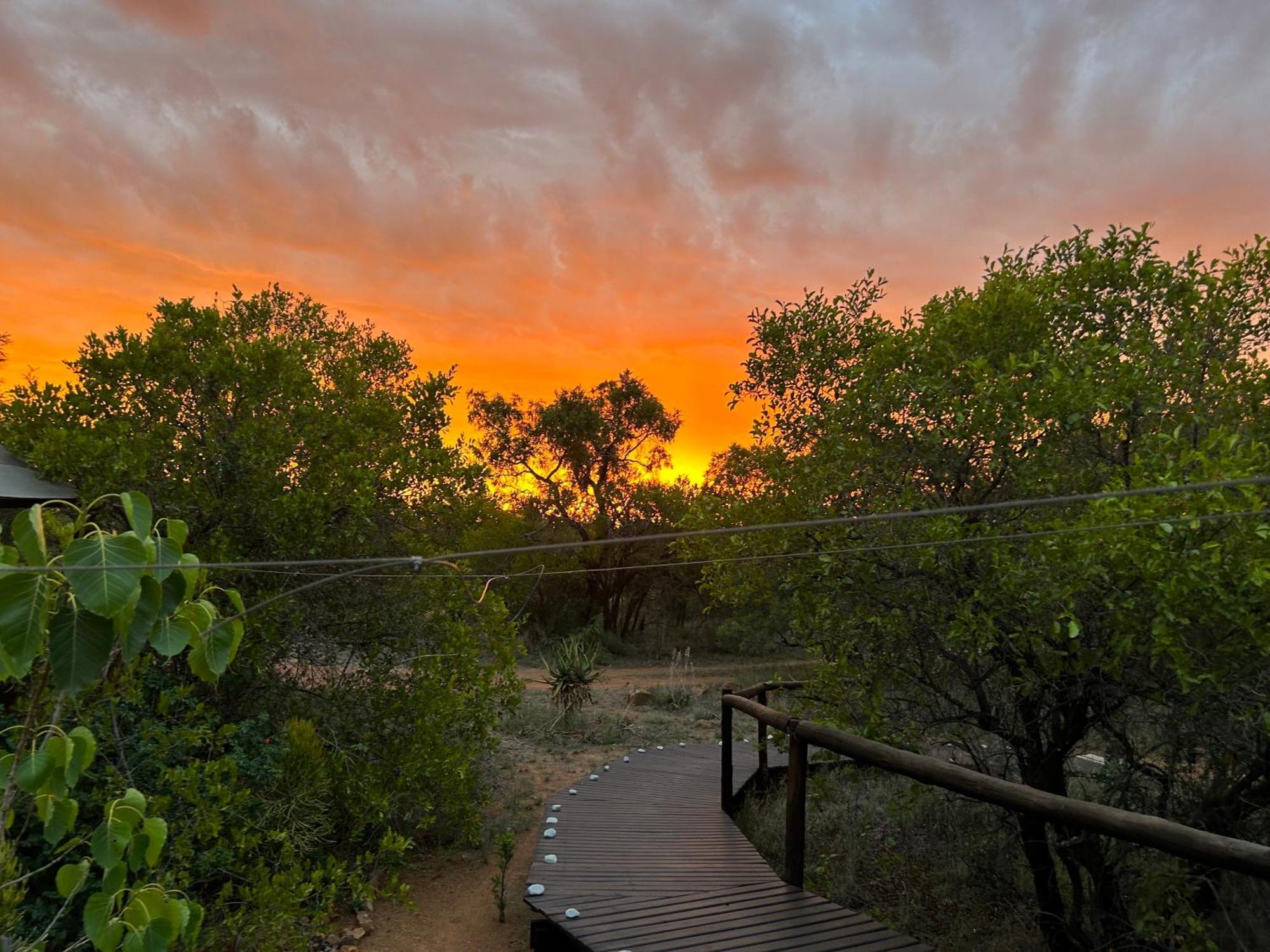 Out In Africa Wildlife Lodge Hammanskraal Dış mekan fotoğraf